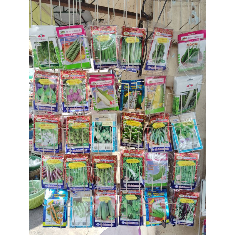 เมล็ดพันธุ์ผัก เมล็ดพันธุ์ ผักสวนครัว ผลไม้ ปลูกง่าย (ซอง 10บาท)