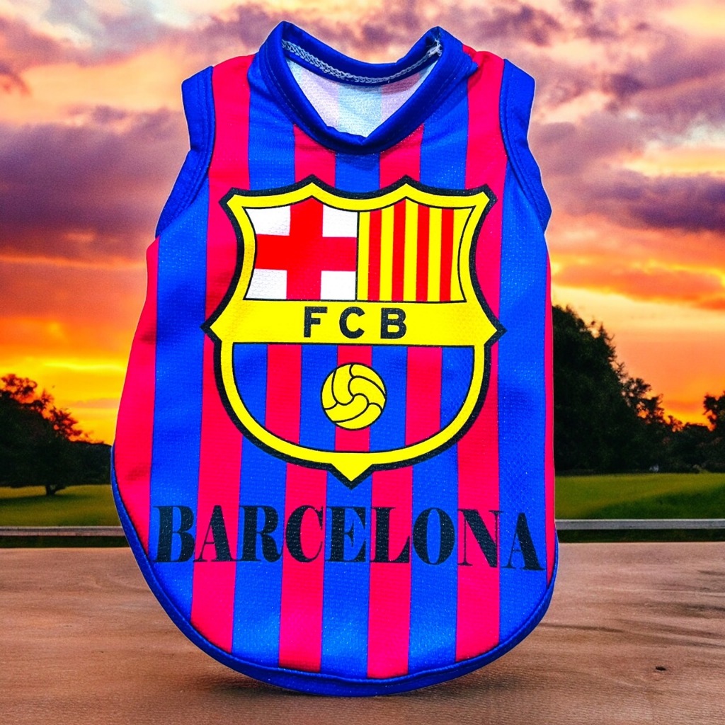 รูปภาพ 6