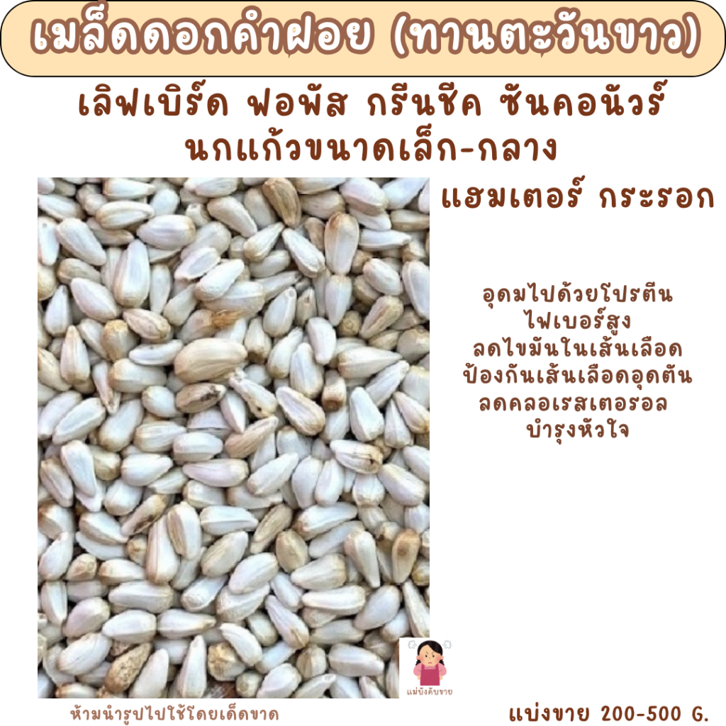 เมล็ดดอกคำฝอย (ทานตะวันขาว) แบ่งขาย 200-500G. อาหานกแก้วขนาดเล็ก-กลาง