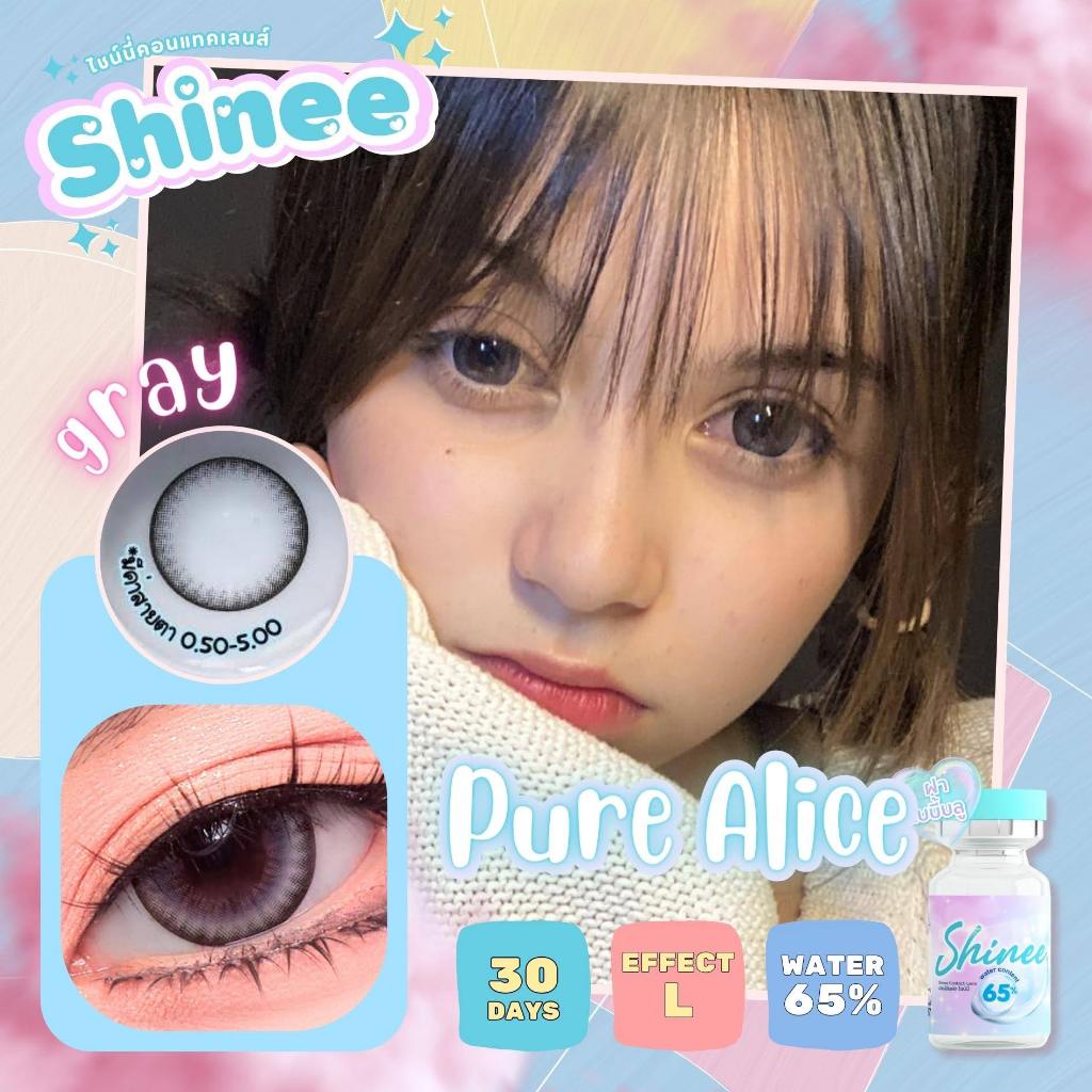 คอนแทคเลนส์ ขนาดบิ๊กอาย Pure alice (Shinee) สี : Brown/Gray