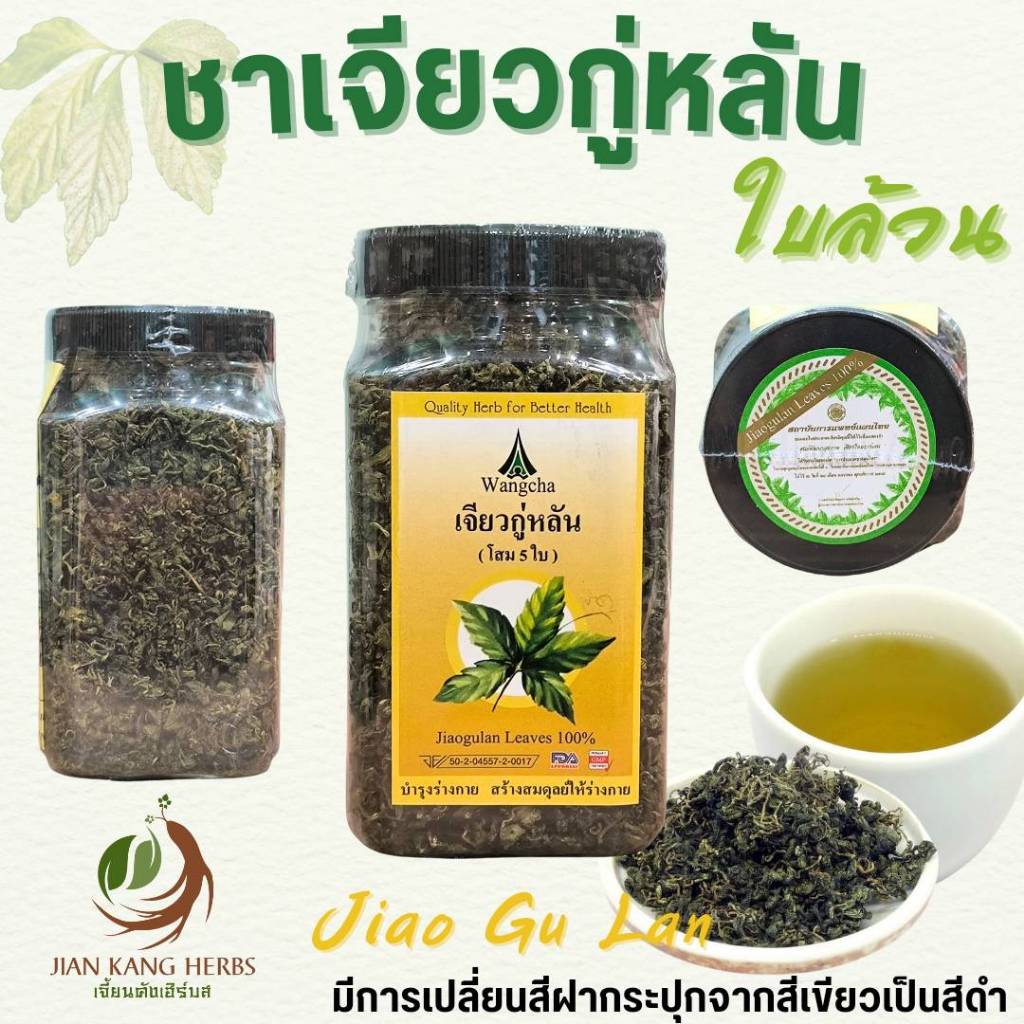เจียวกู่หลัน ใบล้วน ไม่ผสมก้าน เจียวกู่หลาน ชาปัญจขันธ์ โสมห้าใบ Jiaogulan เจียวกูหลาน 绞股蓝 five leaf ginseng tea