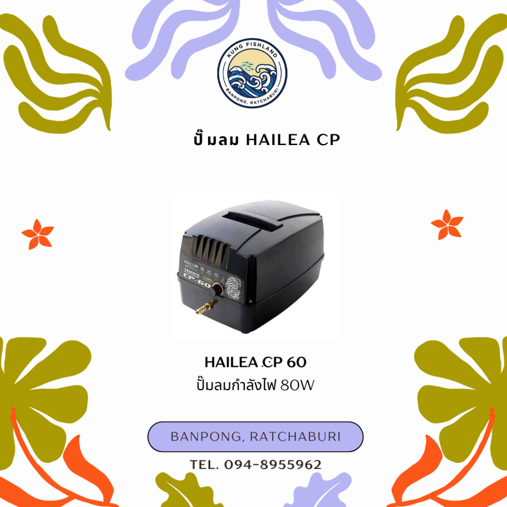 ปั๊มลม HAILEA CP60 และ CPA120