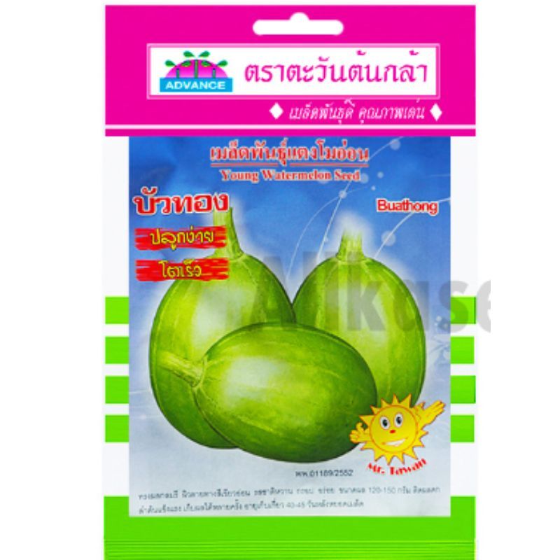เมล็ดแตงโมอ่อน บัวทอง ตะวันต้นกล้า