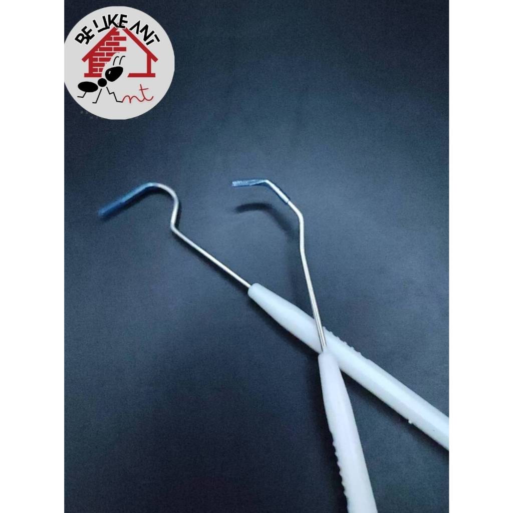 ตะขอสแตนเลสเกี่ยวสำลีในหลอดทดลองเลี้ยงมด - รูปที่ 4