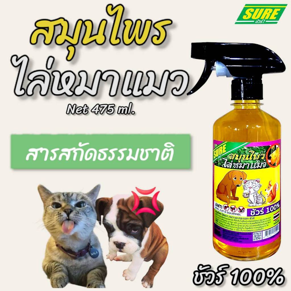สเปรย์สมุนไพรสูตรเข้มข้นไล่หมา แมว และกระรอกกันสุนัขฉี่และกัดแทะขีดข่วนสีรถ ใช้ได้ทั้งรถและบ้านชัวร์