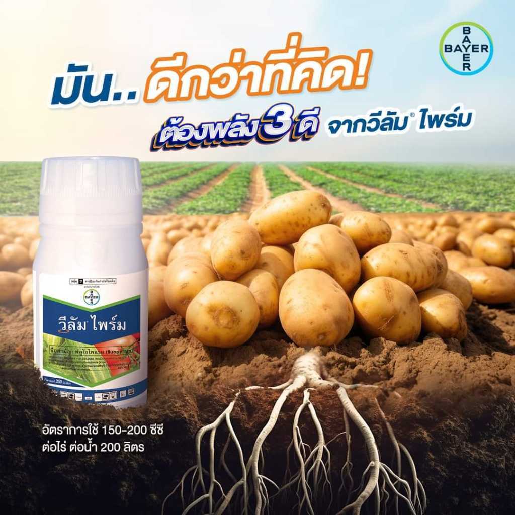 วีลัมไพร์ม​ ขนาด​ 100cc.แก้ฝรั่งตายต้น​ แก้ไส้เดือนฝอย
