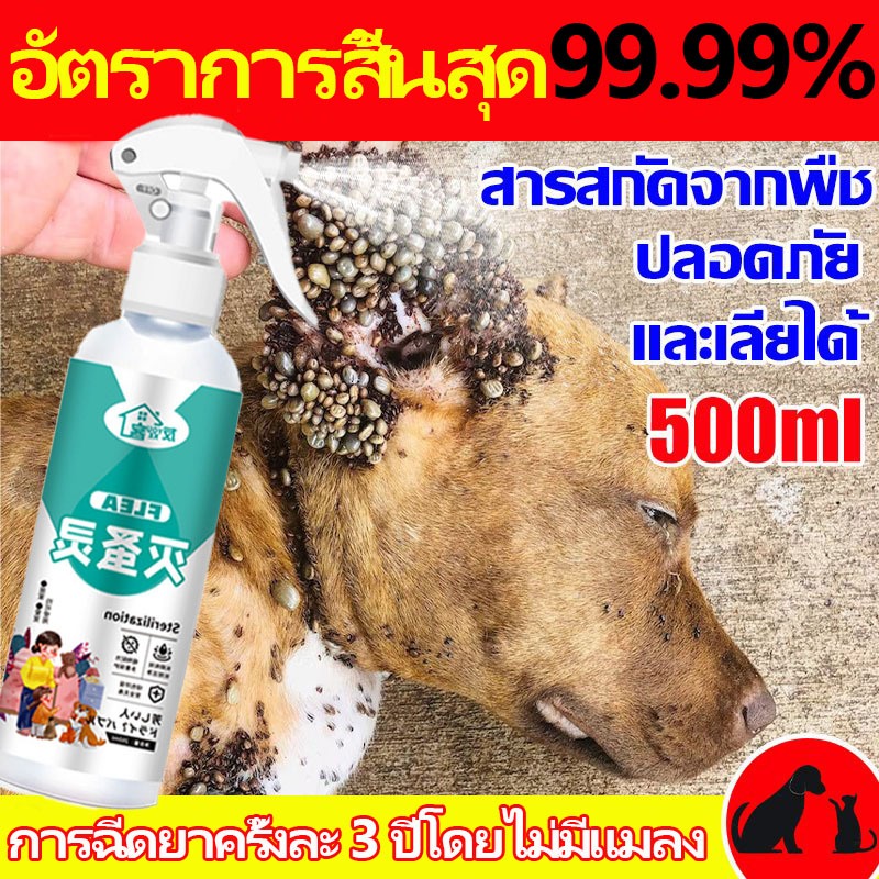 กำจัดเห็บหมัด ยาฆ่าเห็บหมัดสุนัข สูตรพืช สัตว์เลี้ยงเลียได้ กำจัดเห็บหมัด ยาฆ่าเห็บหมัดสุนัข ไล่ เห็บหมัด