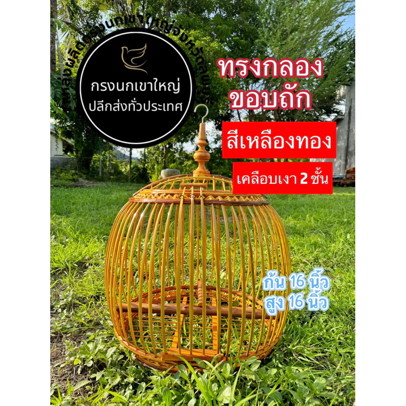 กรงนกเขาทรงกลองขอบถักสีเหลืองทอง เคลือบเงา2ชั้น ขนาดก้น16นิ้ว สูง 16นิ้ว