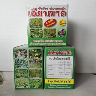 เฉียบขาด 4 พลัง รุ่นใหม่ล่าสุด (เพิ่มแมกนีเซียม) เสริมความแข็งแรงให้พืช เขียวไว ลำต้นตั้ง ฟื้นตัวไว รากแตกง่าย ทนต่อโรค