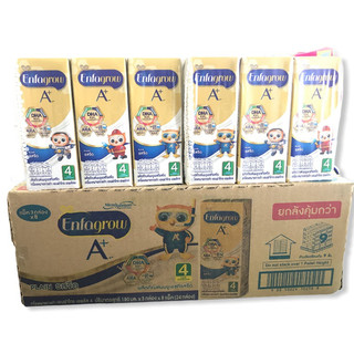 เอนฟา UHT สูตร 4 รสจืด ขนาด 180 ML. (24 กล่อง) จำนวน (1 ลัง)