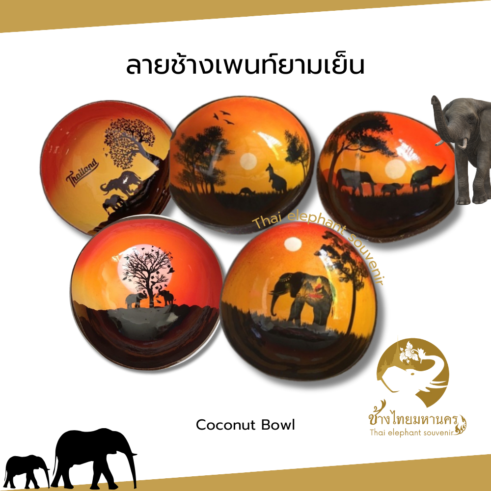 กะลา Coconut Bowl หอยมุกขาว ราคา ถูกที่สุด ดีลบีเคเค แกลเลอรีภาพที่ 9