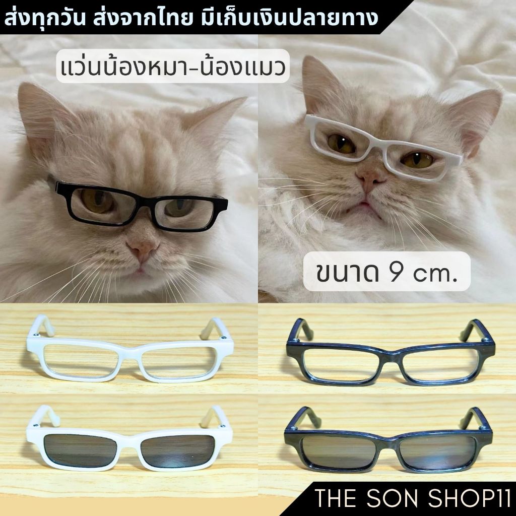 แว่นหมา แว่นแมว แว่นตุ๊กตา พร้อมส่งจากไทย เก็บเงินปลายทางได้