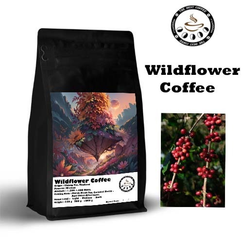เมล็ดกาแฟ Wildflower Coffee มี "กลิ่นดอกไม้ป่า"ที่เป็นเอกลักษณ์ และมีความพิเศษ