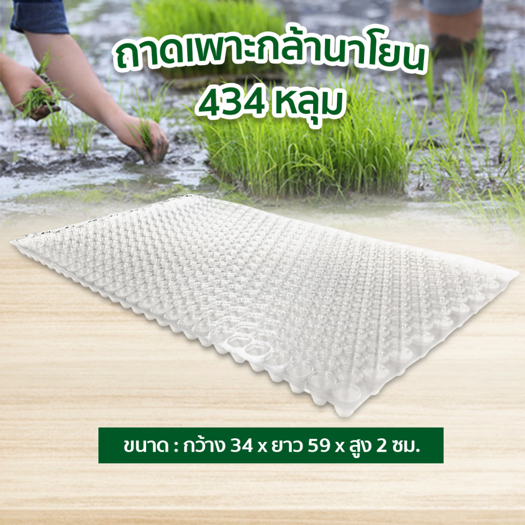 ถาดเพาะกล้า ถาดเพาะกล้านาโยน ถาดเพาะข้าว 434 หลุม เกรดA