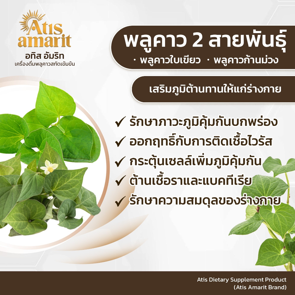 Atis Amarit น้ำพลูคาว 2 แถม 2 อทิส อัมริท พลูคาวสกัด พลูคาว อั้ม น้ำอัมริท พลูคาวน้ำ อัมริทพลูคาว - รูปที่ 4