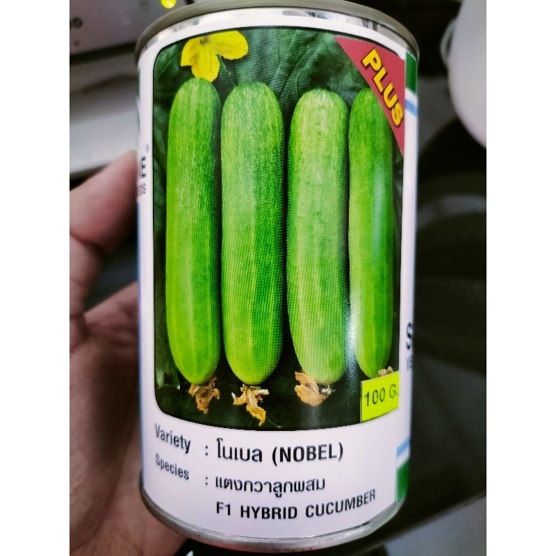 เมล็ดแตงกวา โนเบล พลัส ขนาด 100 กรัม ดก ยาว 13-15ซม.