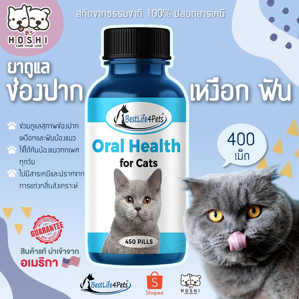 [ของแท้ 100% + พร้อมส่ง] ดูแลช่องปากน้องแมว BestLife 4 Pets | Oral Health for Cats | ขายยกขวด