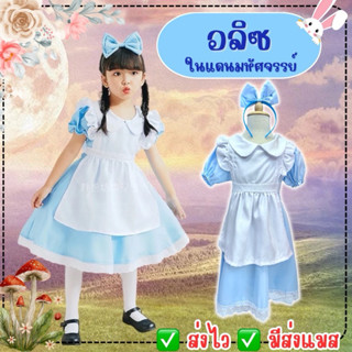 👍ส่งไว จาก กทม👍ชุดอลิซ อินวันเดอร์แลนด์ ชุดแม่บ้าน ชุดเจ้าหญ…