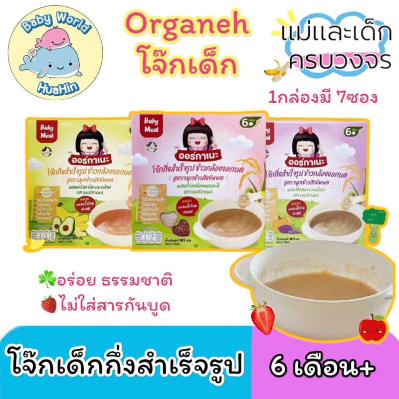 Organeh ข้าวกล้องงอกบดละเอียด ออร์กาเนะ Organeh Mixed GABA สำหรับน้อง 6 เดือน ฝึกทานอาหาร มีฮาลาล