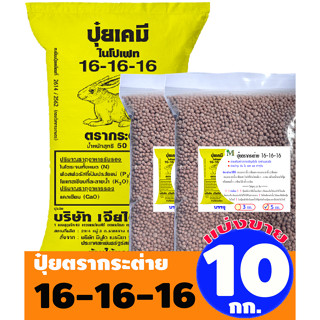 (ของแท้100%) ปุ๋ยสูตรเสมอ ตรากระต่าย สูตร 16-16-16 แบ่งขาย บ…