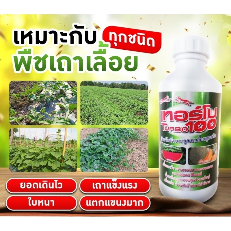 เทอร์โบ 100 ตราเสือคู่ สำหรับพืชเถาเลื้อย ลูกใหญ่ผลดก ยอดเดินไว เถาอวบแข็งแรง
