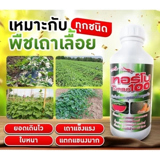 เทอร์โบ 100 ตราเสือคู่ สำหรับพืชเถาเลื้อย ลูกใหญ่ผลดก ยอดเดินไว เถาอวบแข็งแรง
