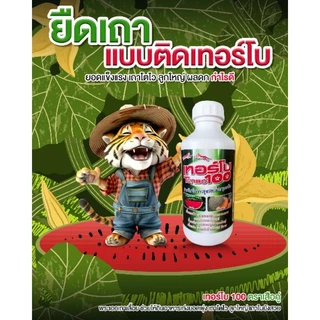 เทอร์โบ 100 ตราเสือคู่ สำหรับพืชเถาเลื้อย ลูกใหญ่ผลดก ยอดเดินไว เถาอวบแข็งแรง