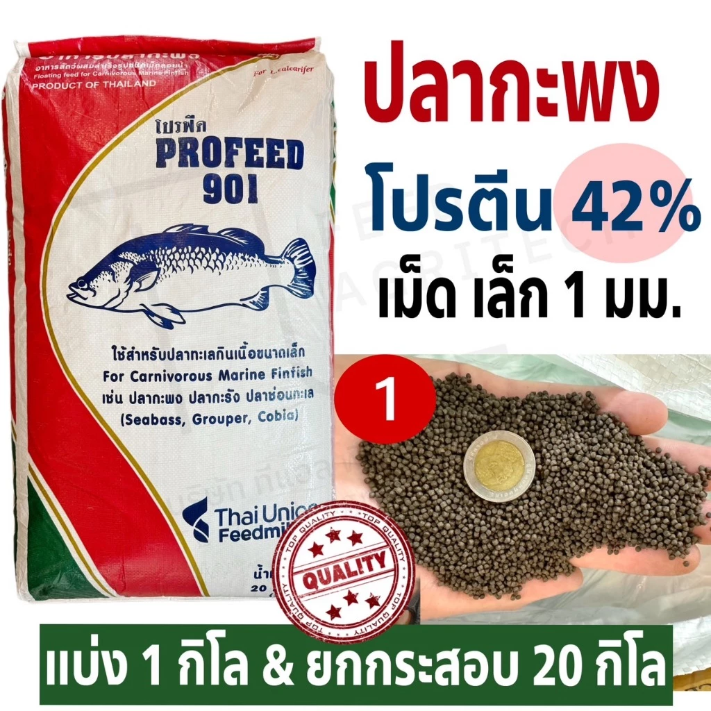 ProFeed โปรฟีด อาหารปลากระพง ปลาทะเล กินเนื้อขนาดเล็ก โปรตีน 42% >> 901 <<