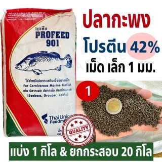 ProFeed โปรฟีด อาหารปลากระพง ปลาทะเล กินเนื้อขนาดเล็ก โปรตีน 42% >> 901 <<