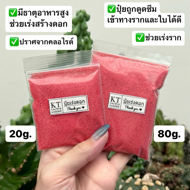 ปุ๋ยเร่งดอก แคคตัส ไม้อวบน้ำ ไม้ดอก ไม้ประดับ กล้วยไม้ กระบองเพชร