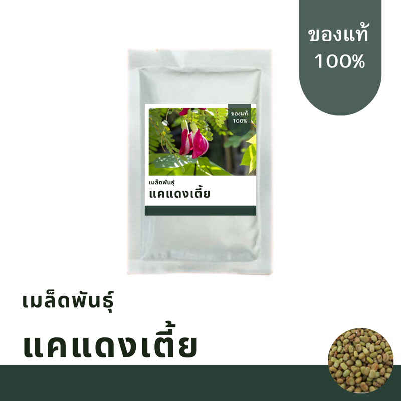 เมล็ดพันธุ์ดอกแคแดงเตี้ยแดง บรรจุ 150 เมล็ด  เมล็ดพันธุ์คัดพิเศษ อัตราการงอกสูง ราคา ถูกที่สุด ดีลบีเคเค แกลเลอรีภาพที่ 2