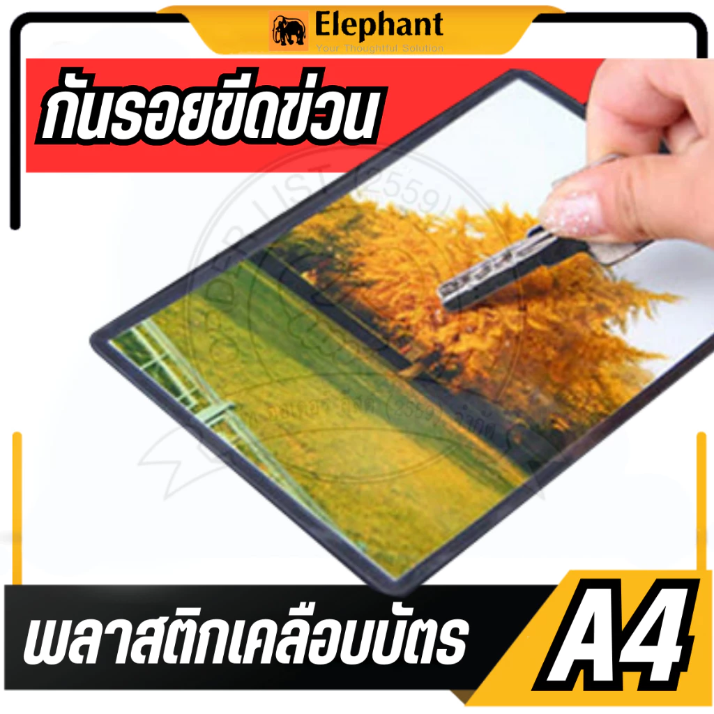 🔥แบ่งขาย 20 แผ่น🔥Elephant พลาสติกเคลือบบัตร A4 Sure 125 ไมครอน แบ่งขาย 20 แผ่น/แพ็ค แผ่นเคลือบเอกสาร รูปภาพ ตราช้าง thumbnail 6