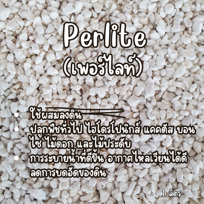 เพอร์ไลท์ (Perlite) ใช้ผสมลงดิน