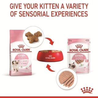 [ ยกกล่อง 12 ซอง ] Royal Canin Kitten Loaf โรยัล คานิน อาหารเปียกสำหรับแมว สูตรลูกแมว ขนาดซองละ 85 กรัม