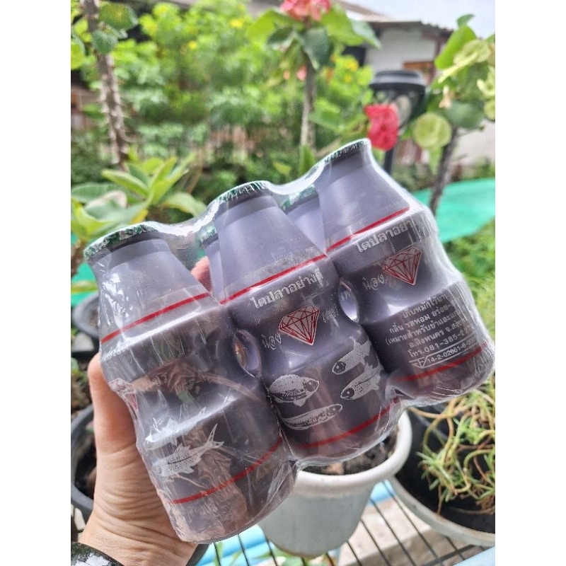 พร้อมส่งไว ไตปลาทู ไตปลาอย่างดี ( 6 ขวด)  ตราน้องเพชร สะอาด เข้มข้น กลิ่นหอม อาหารใต้