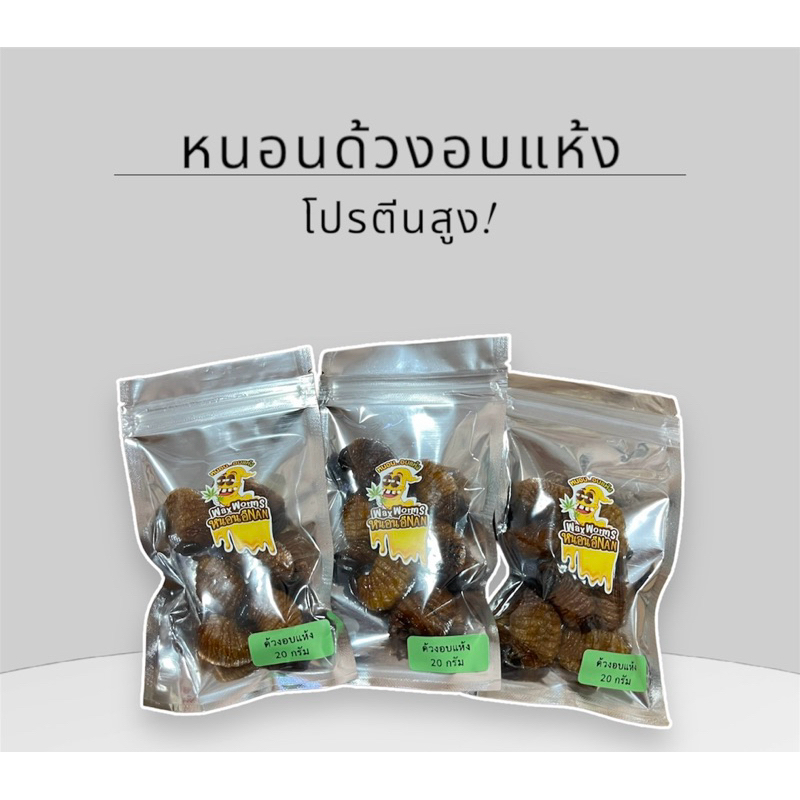 หนอนด้วงมะพร้าวอบแห้ง โปรตีนสูง อาหารสัตว์ฟันแทะ