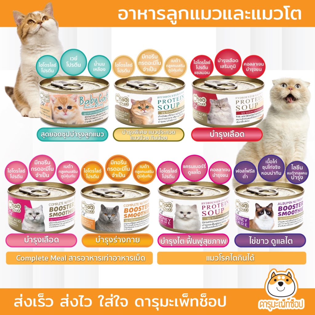 Choo Choo (ชูชู) อาหารแมวสำหรับแมวที่ต้องการบำรุงเป็นพิเศษ ขนาด 80 กรัม