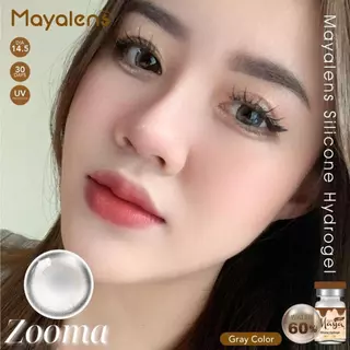🔥คอนแทคเลนส์ Hydrogel - ขนาดกลาง 💗Zooma (Mayalens Premium) สี : Brown / Gray