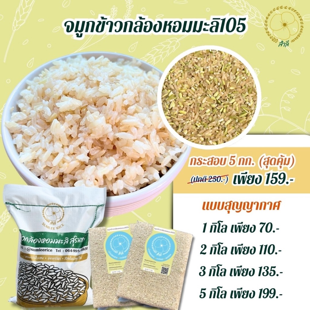 จมูกข้าวกล้องหอมมะลิสุรินทร์105