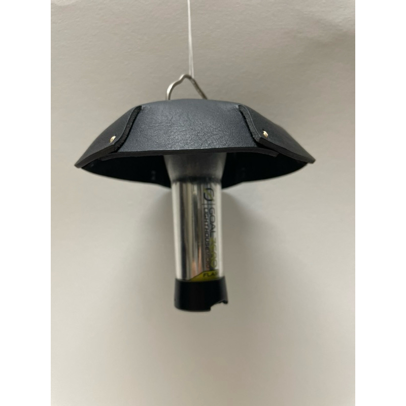 แฉ่ง goal zero หนังแท้