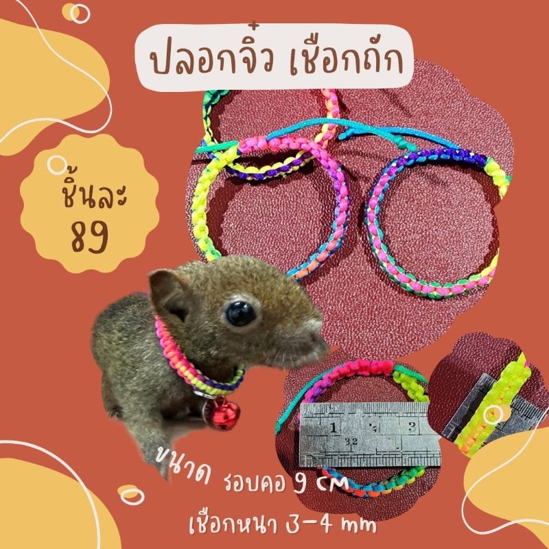 (แจ้งชื่อที่หมายเหตุและแชท)ปลอคพร้อมป้ายชื่อจิ๋ว รอบคอ 7 CM ขนาดเชือก 3 mm ปลอกคอกระรอก ชูก้าไรเดอร์ อื่นๆๆ