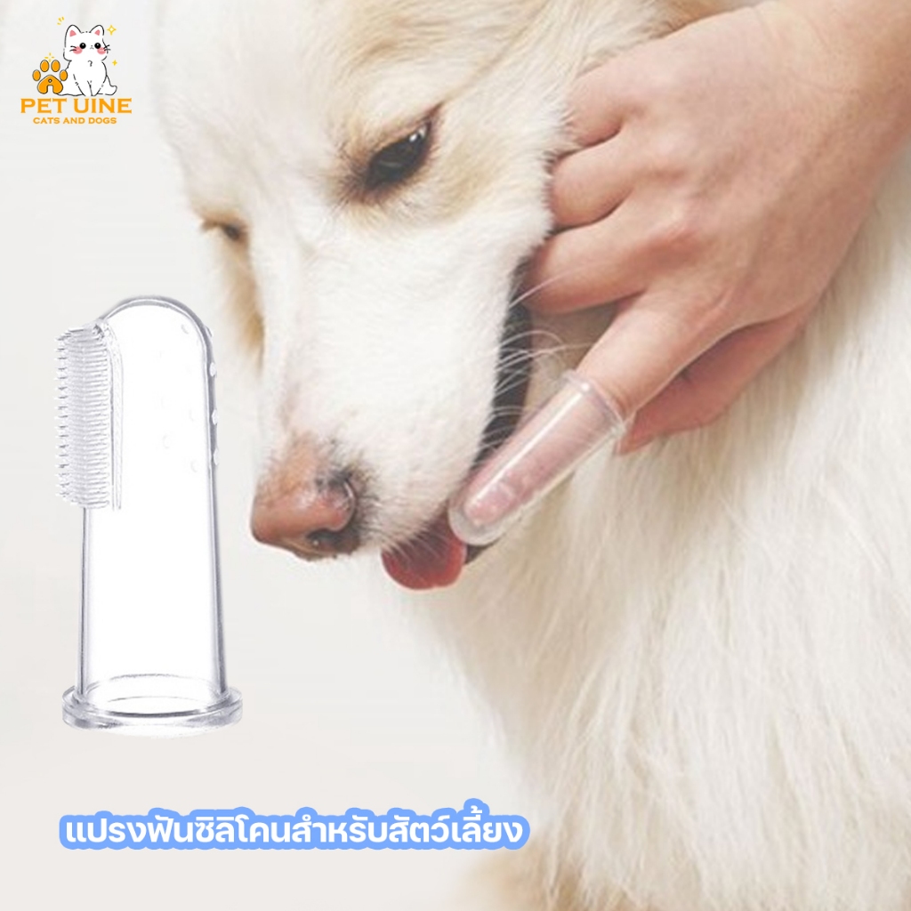PET UINE-B18 ที่แปรงฟันแบบสวมนิ้ว แปรงสีฟัน สวมนิ้ว ขนแปรงนิ่มมากๆ