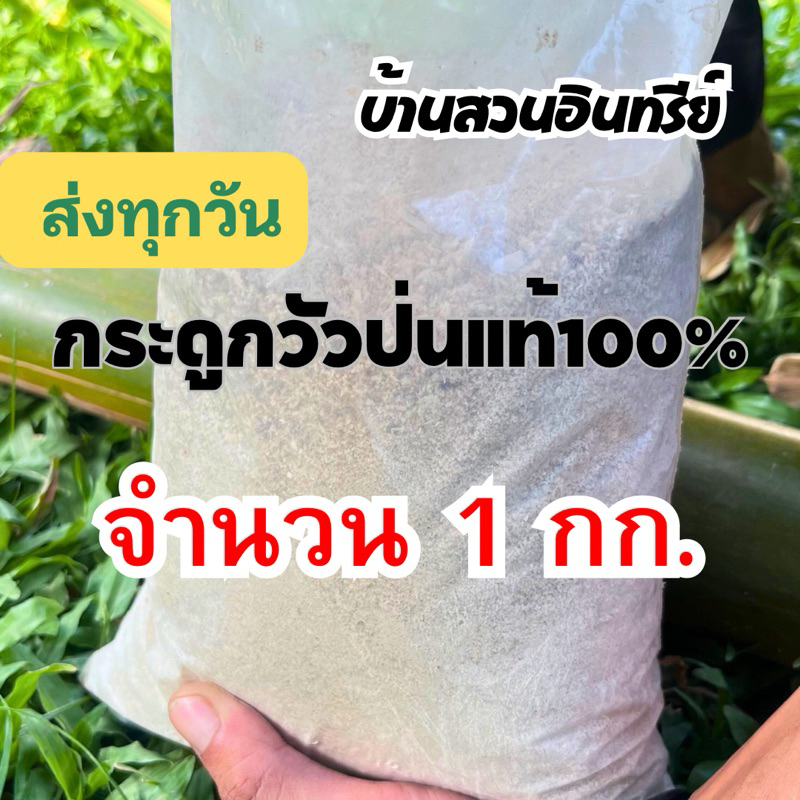 กระดูกวัวป่นแท้ละเอียดแท้ 100% ขนาด 1กิโลกรัม ส่งทุกวัน เสริมแร่ธาตุบำรุงดินใช้ได้ทั้งพืชสวนและพืชดอก