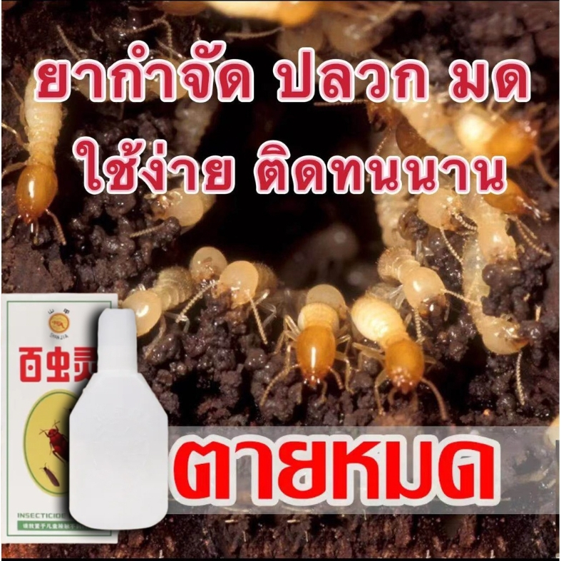 ได้ผล100% ยาปลวก กำจัดปลวก ยาฆ่าปลวก เหยื่อปลวก มีผลยาวนาน ไม่มีสีและกลิ่น ปลอดภัยต่อผู้ใช้และสัตว์เลี้ยง ชีวภาพ100%