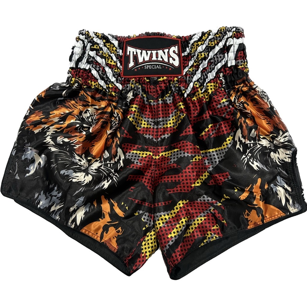 Twins Special Muay Thai Shorts TBS-PAYAK
