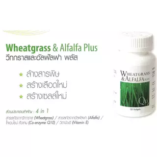 ผักเม็ด อาร์มสตรอง Wheatgrass Alfalfa ArmStrong (1 ขวด 120 แคปซูล)