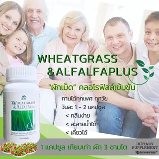 ผักเม็ด อาร์มสตรอง Wheatgrass Alfalfa ArmStrong (1 ขวด 120 แคปซูล)