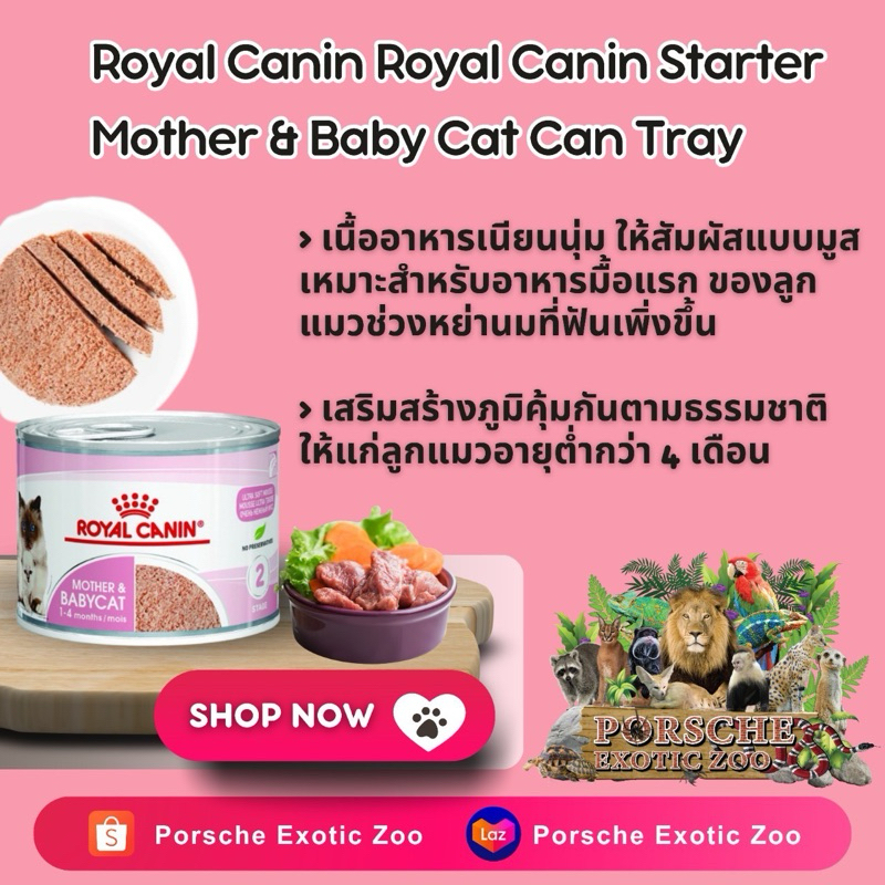 Royal Canin Starter Mother & Baby Cat Can Tray