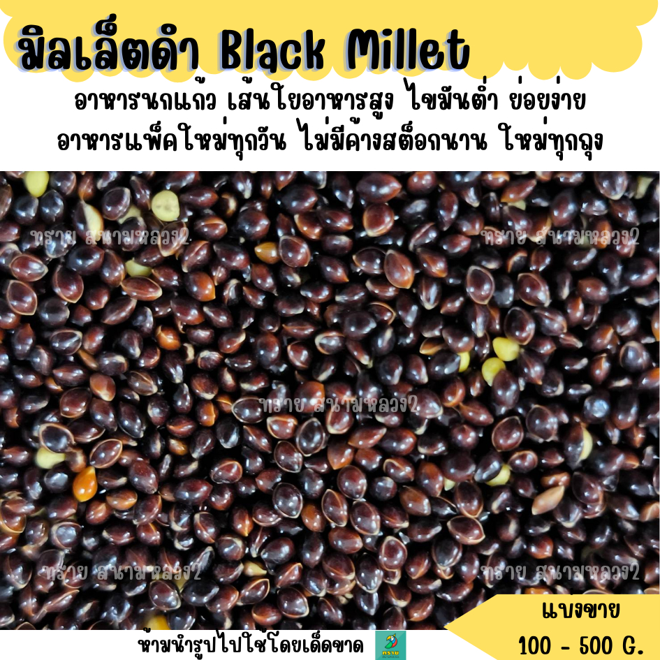 มิลเล็ตดำ Black Millet  (แบ่งขาย 200-500G.) อาหารนก แฮมเตอร์