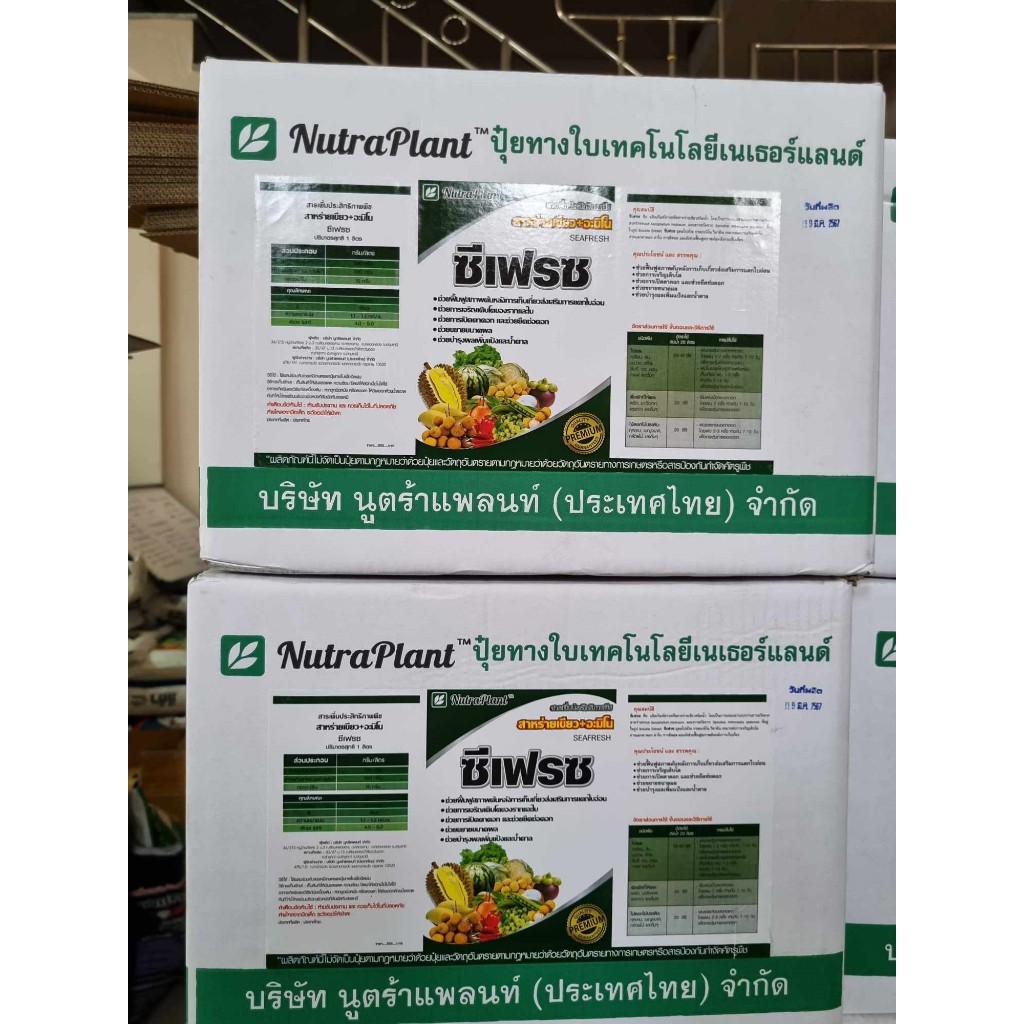 ซีเฟรซ 1ลิตร ยกลัง 12ขวด สาหร่ายเขียว+อะมิโน ฟื้นฟูต้นหลังการเก็บเกี่ยว การเปิดตาดอก ช่วยยืดช่อดอกและขยายขนาดผล